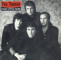 The Troggs : Every Little Thing